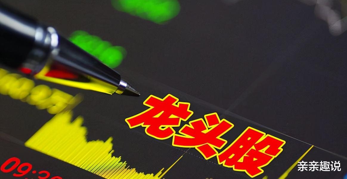 中國股市：8隻A股綠色電力細分龍頭股一覽，十倍潛力（名單）-圖3