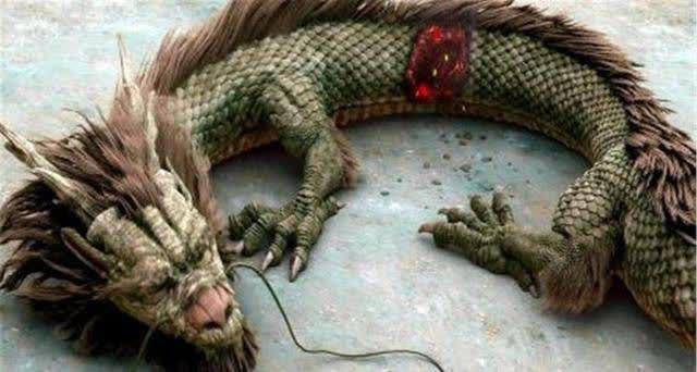 菜菜叶|探讨营口坠龙事件的真实性:对“坠龙”的尺寸等特征有详细记载