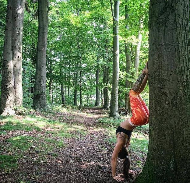 运动|年龄不是拒绝运动的理由，不妨试试瑜伽，强身健体，舒缓肌肉