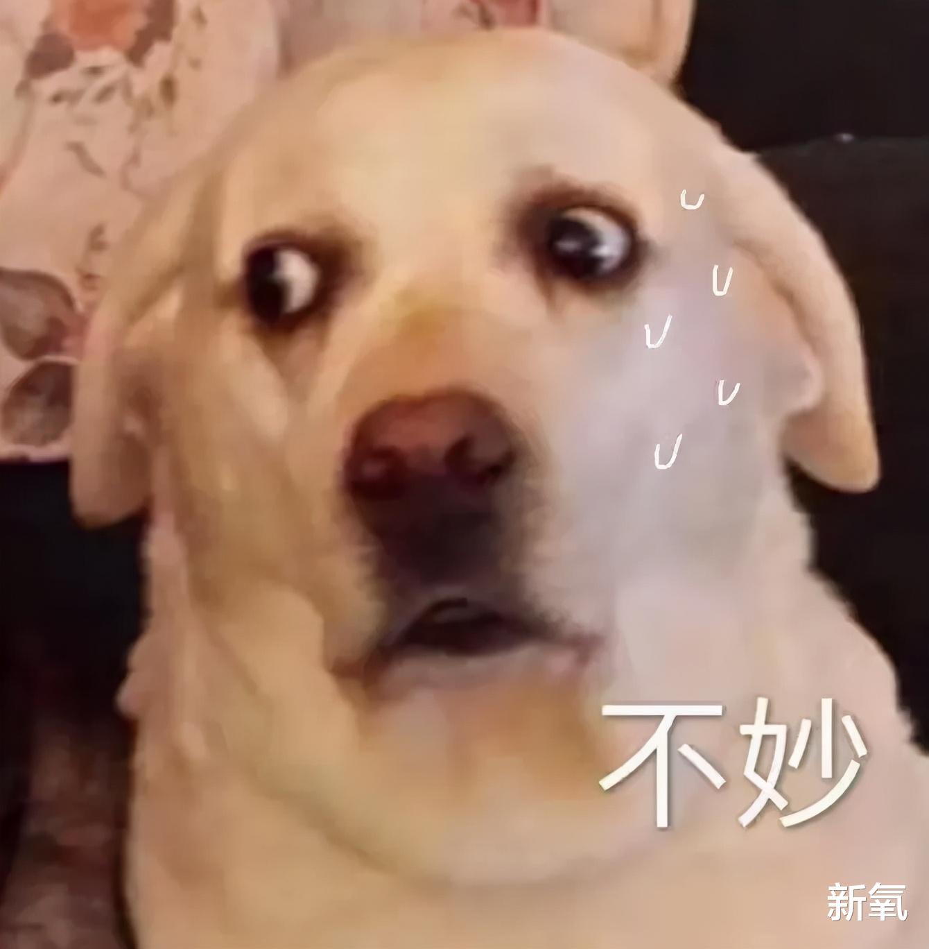 衬衫 打滚能减肥？恐怖片减肥？这些奇葩的减肥方法真的有用吗？