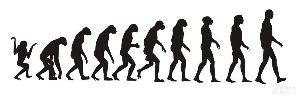 生物学家|为什么人类在进化过程中褪去了全身毛发