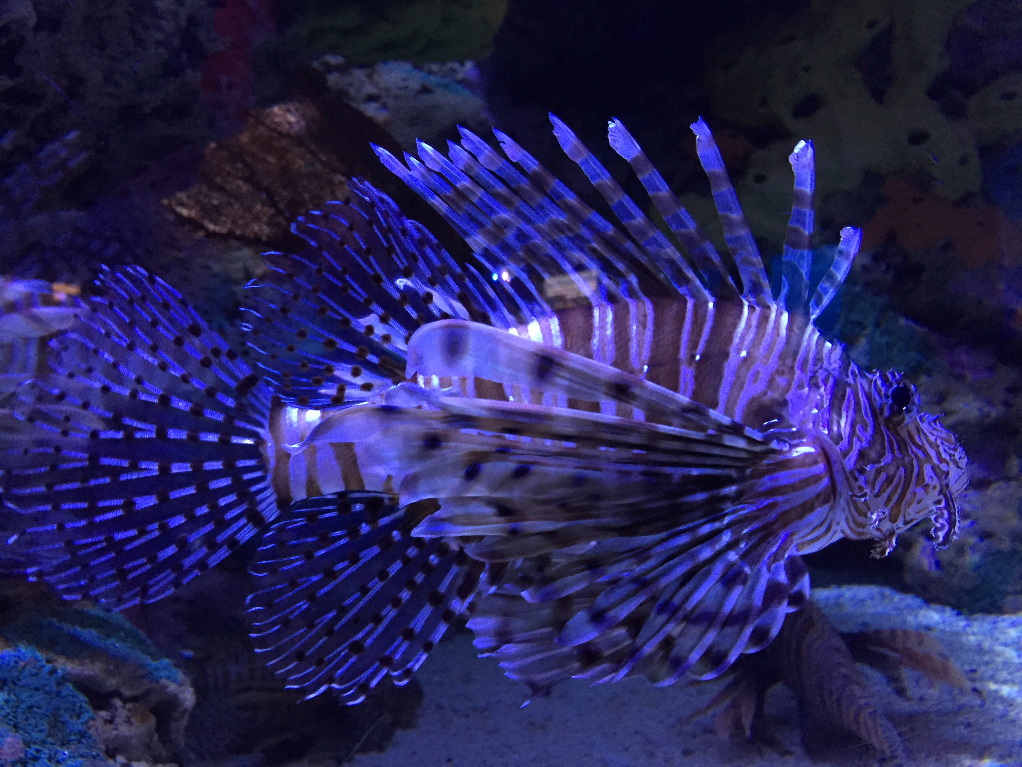 空军|秋季钓鱼（立秋/处暑/寒露/霜降钓技区别）（精髓）