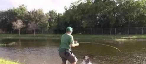 上游新闻|湖北一男子野钓“米级”大货,遛鱼半小时,3秒钟水老虎就没了