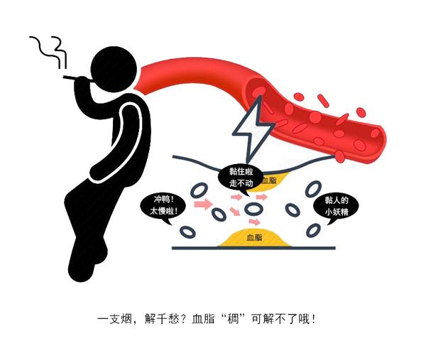 快速问医生|不想血管变“硬”，三道防线要守住，血管越软，身体才会更健康