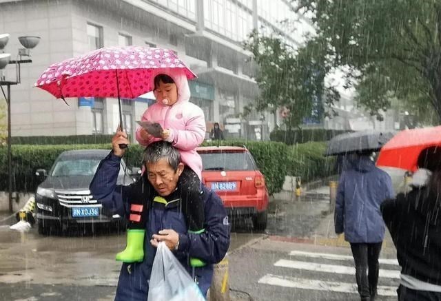 延迟退休 “延迟退休”真要来了？这2种方案“呼声”最高，你更支持哪一种