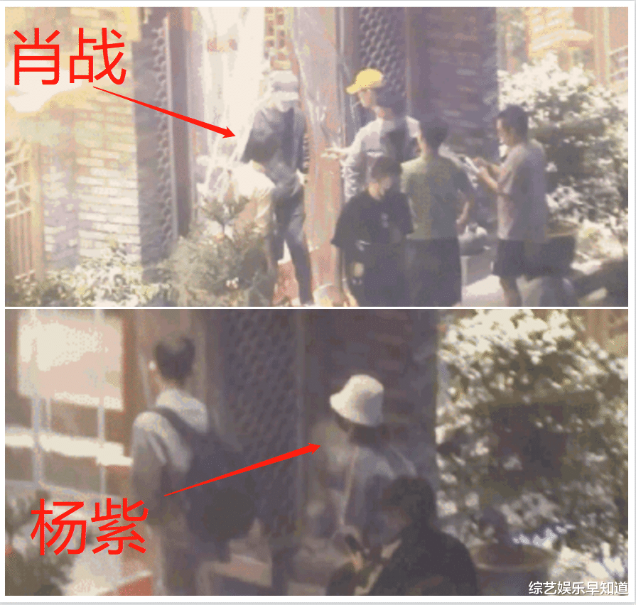 杨紫|肖战杨紫聚餐关系好，粉丝却互看不顺眼，相互内涵对方！
