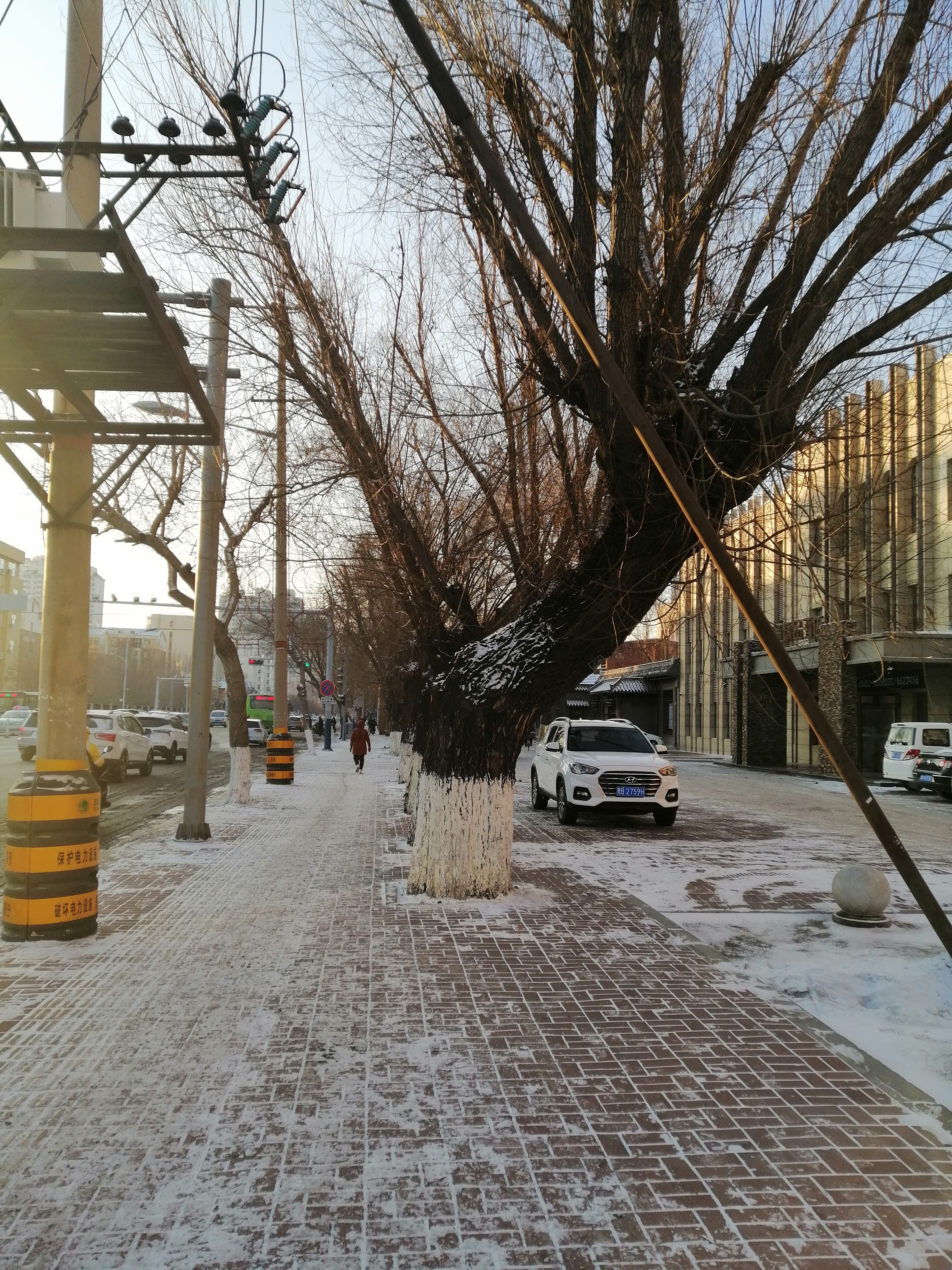 szfreeman 眺望白色煙柱扶搖直上，雪地里走著，慢慢地就白了頭