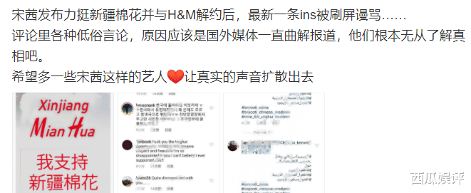 白敬亭|白敬亭误机后，《你是我的城池营垒》也被打码，个体户太不容易了