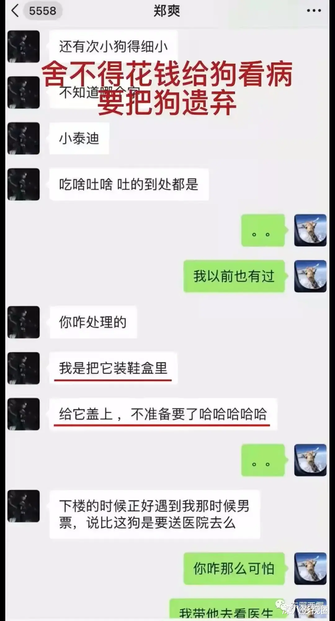 娱乐圈|三观炸成烟花……决战2021最震撼瓜田之巅!