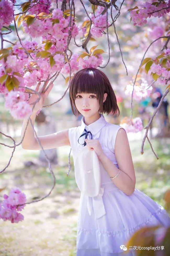 acgn漫评|现在的我，可以成为你的女主角吗？