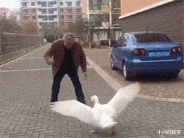 心电图 “现在医生这么大胆了吗，扎双马尾上班？”这心电图能正常吗