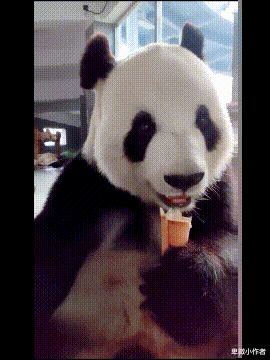 电视剧|国内最长的电视剧，一共拍了3000多集，播了快20年了还在播