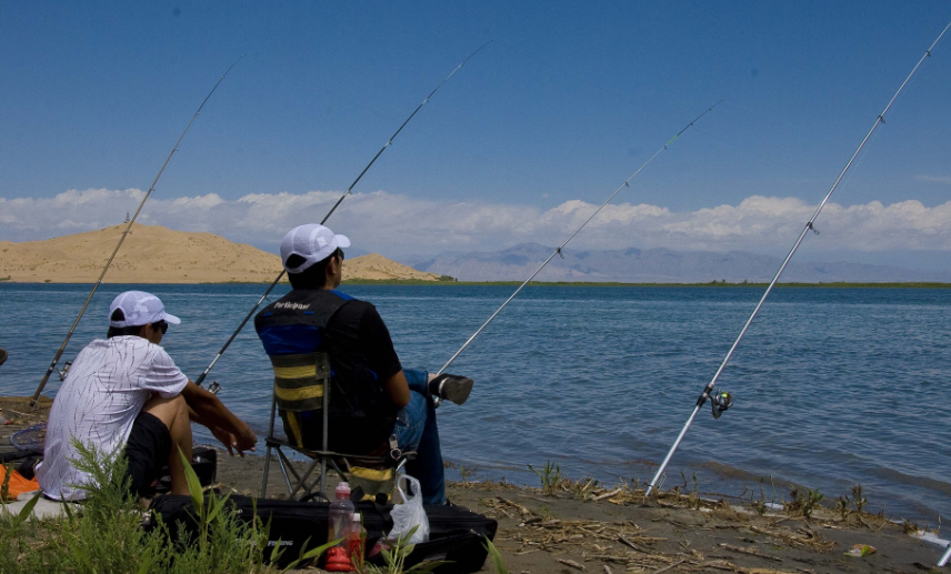 饵料|夏季，淡水鲈鱼的岸提钓法