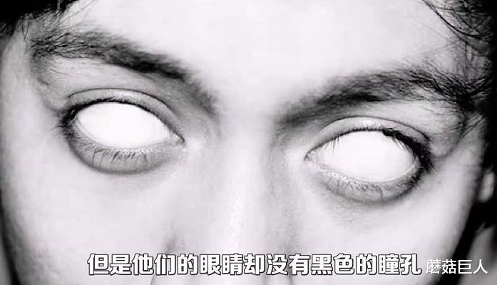 火星 火星人后裔，神奇的眼珠残存的飞船，他们为何不统治地球？