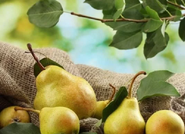 呼啦圈|子宫“不喜欢”的8种水果,女性朋友要少吃,1项运动或能保护子宫