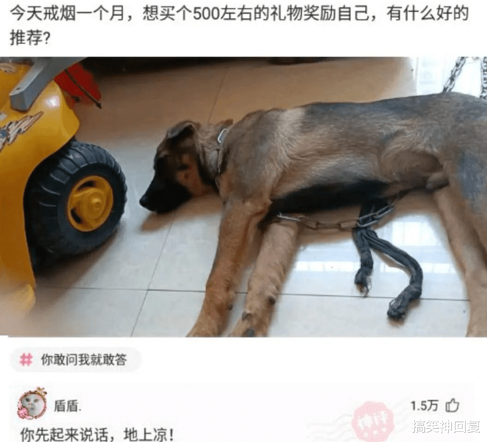 搞笑神回复|爆笑神回复：听说这道题，幼儿园学历都会，为啥我咋就是不会呢？