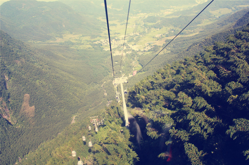 |高中生须知：未来10年，这些专业可能消失