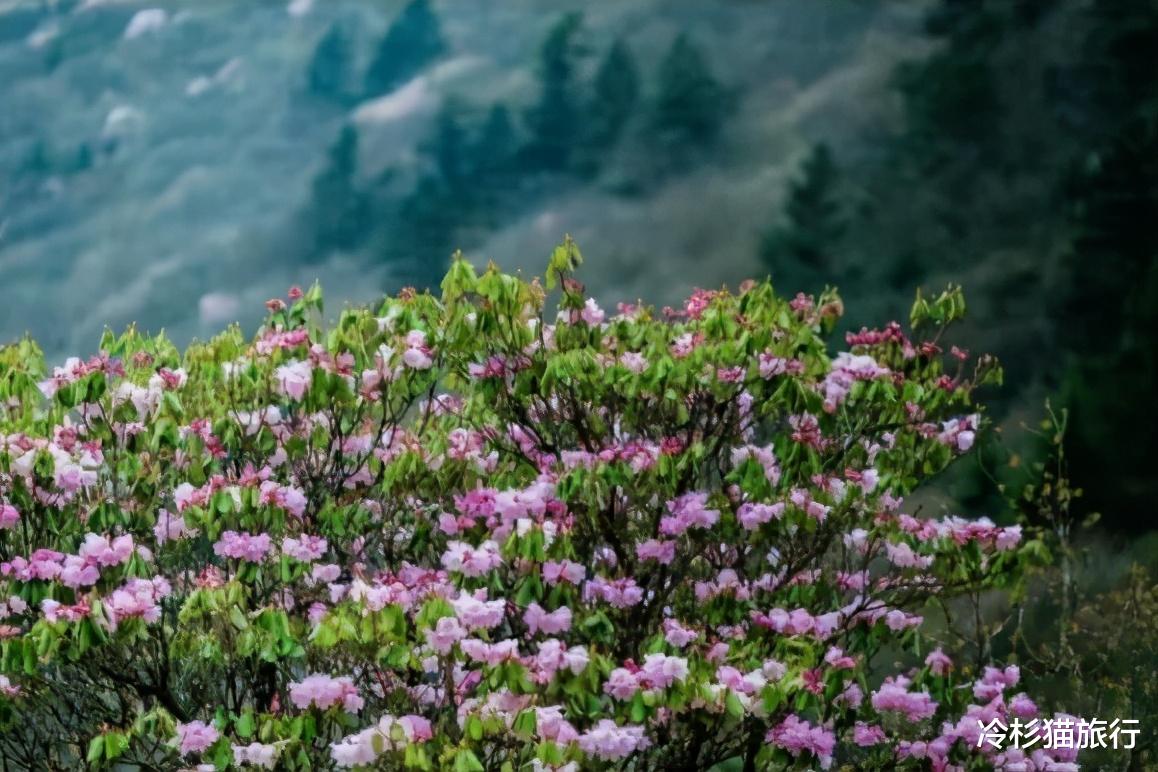 古镇 5月旅行去哪好？我推荐的这8个地方，正适合五一小长假出发！