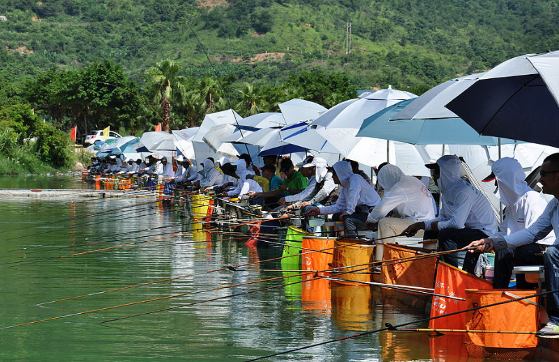 |钓鱼主播夸上天 钓鱼人也追捧 号称阿魏能清塘 这是不是智商税？