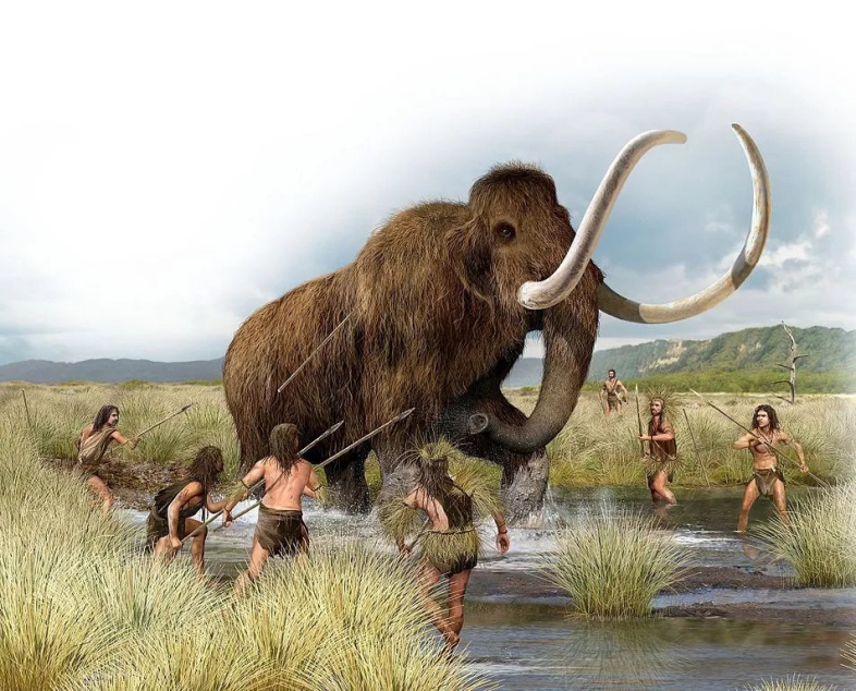 猛犸象 最有可能被复活的4种史前生物，你最希望哪一种复活？