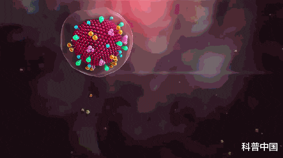 花生|淋巴结肿大,疼比不疼好!这些部位摸一摸可自查