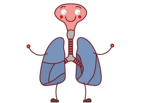 戒烟|成功戒烟后，肺还能恢复正常吗？医生建议：戒烟别超过这个岁数