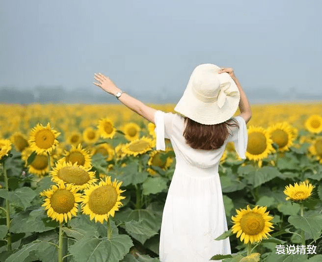 袁说精致|精致女人的15个层次，你达标了几个？