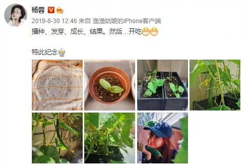 InsDaily|出道25年的“疯批美人”，40岁仍是神颜少女：她怎么还没红啊！