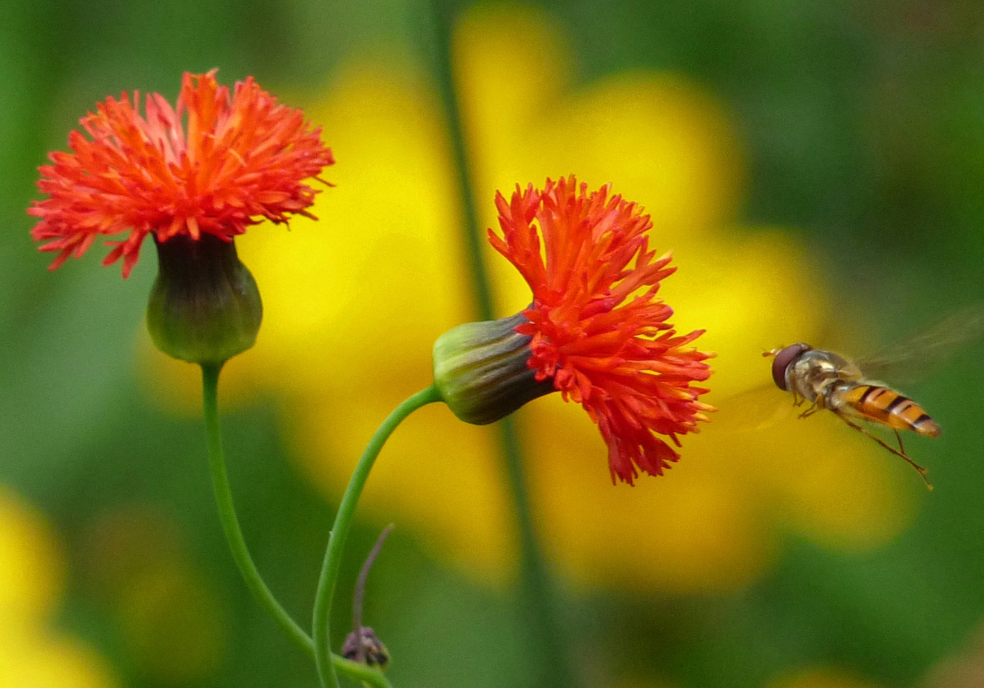 生肖夜读|7月,不缺贵人,满面桃花,存款翻倍,3生肖事业一升再升,多金多福