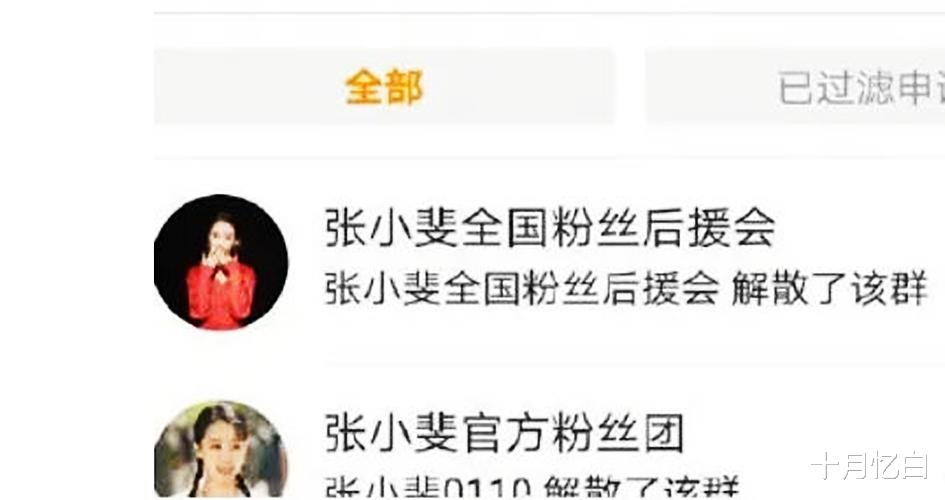 十月忆白 《你好，李焕英》演员张小斐大火后，饭圈遮羞布被撕开，直接被解散