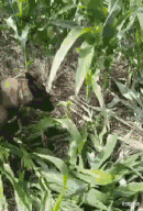 时尚炫点 “领导让我去量尺寸,我这样发给她,她让我明天不用来上班了...”