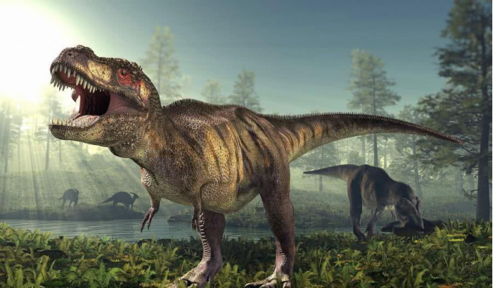 人贩子 科学家从恐龙化石中发现：恐龙没有丁丁，它们是怎么交配的？