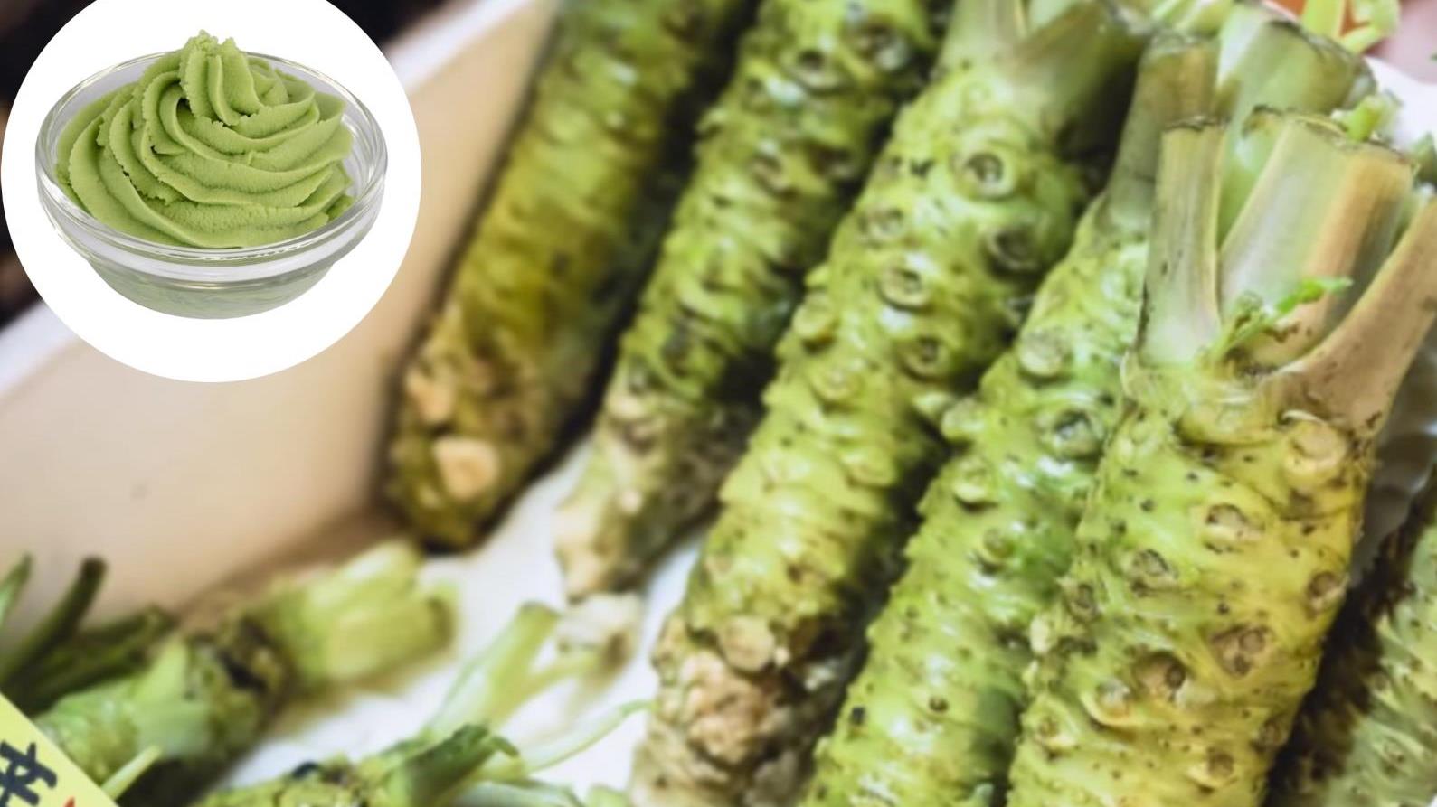 30种常见“食物”在自然界中的样子,看看你认识几个呢?