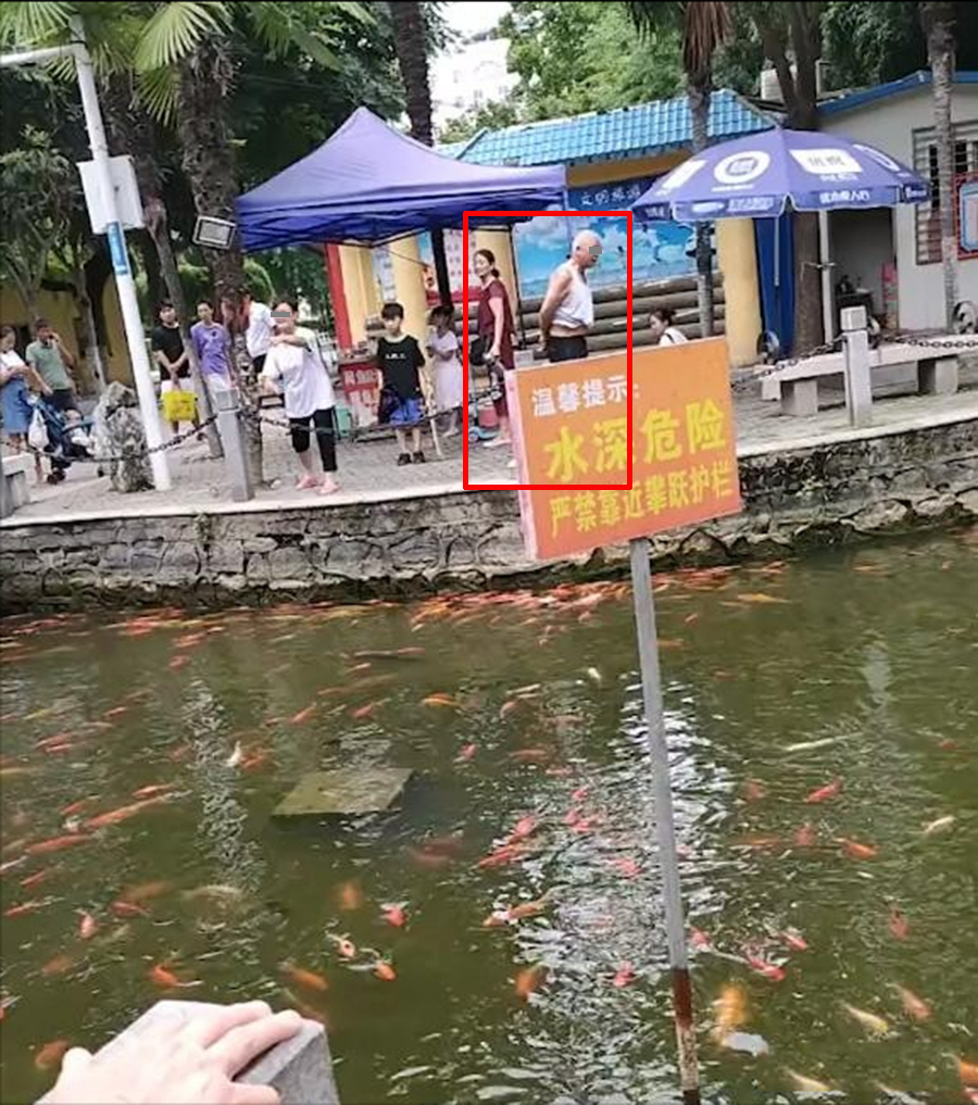 央行 女子公园自带鱼食喂鱼，遭卖鱼食大爷辱骂：鱼是我的，你不要脸！