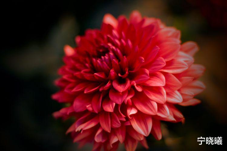 宁晓曦|嘴硬的摩羯座人，让他们口头认错太难了