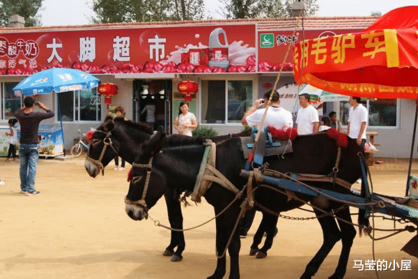 辽宁省 辽宁一景区被游客“厌弃”，宰客不停价格猛涨，如今发展落败