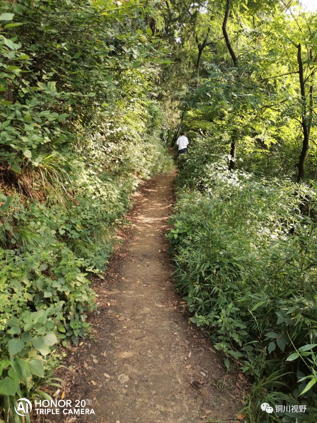 秦岭|秦岭脚下有个牛头山，暑天时节爬山真是挥汗如雨