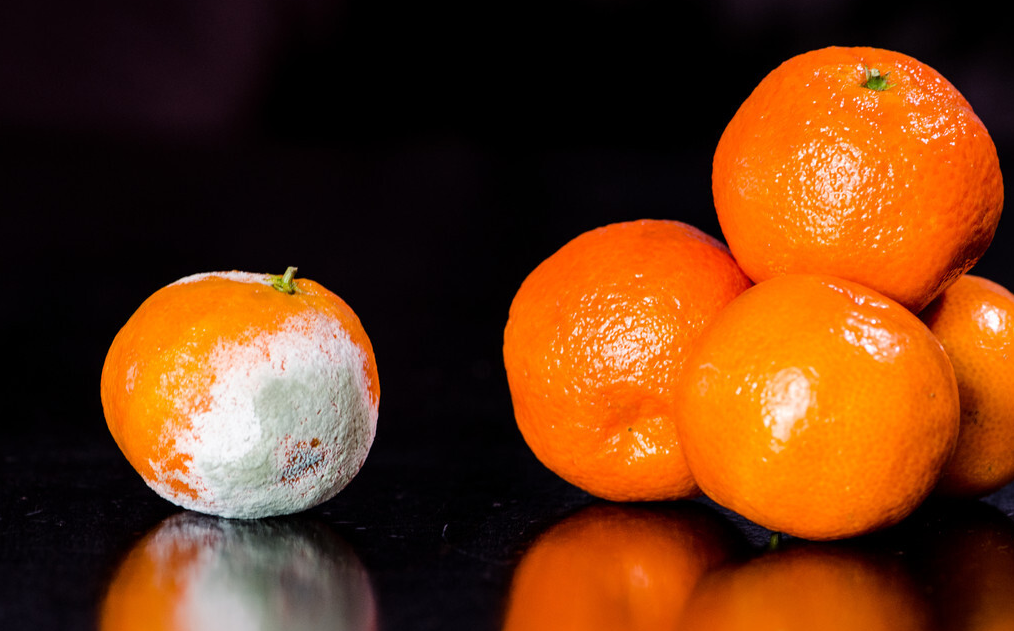 心电图刘医生|90后小伙肩痛一年,确诊肝癌,医生叹息:“根源”或藏在厨房