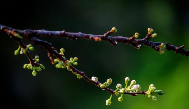 真的很棒 广州网红乡村，一到节假日就游人如织，流溪河的源头在这里