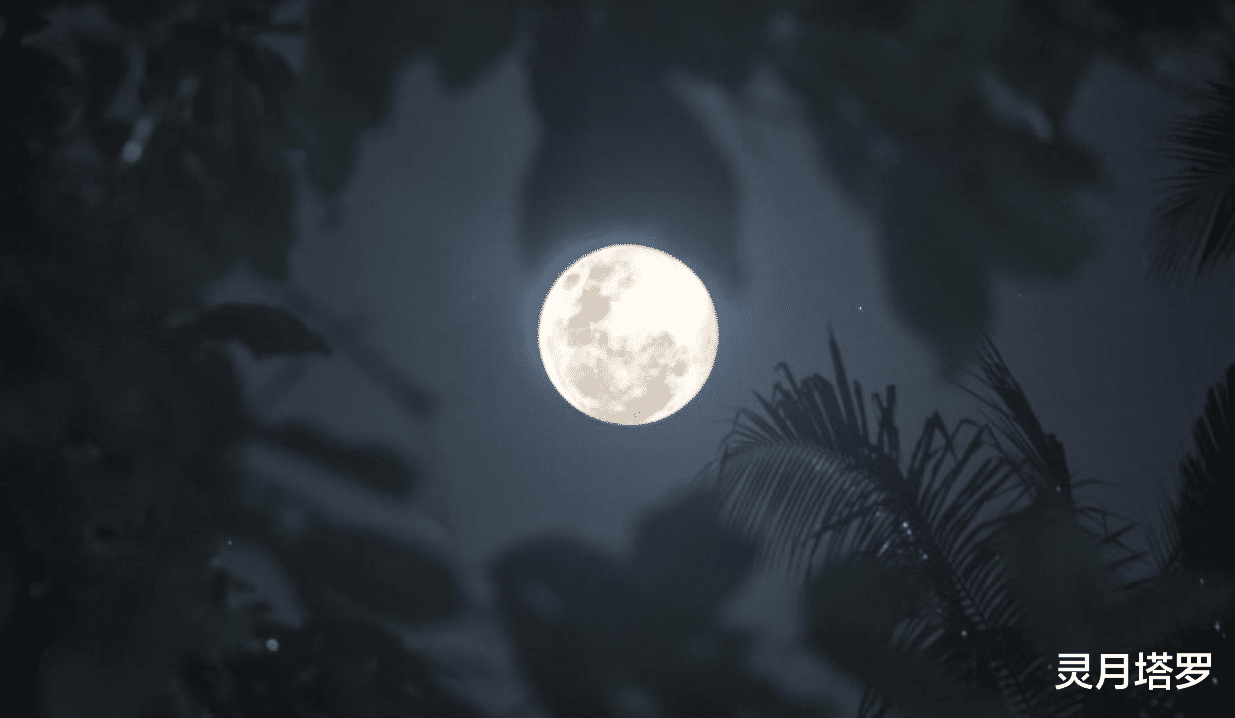 灵月塔罗|灵月塔罗：摩羯座8月情感运势，比较收敛，但很容易付出真心