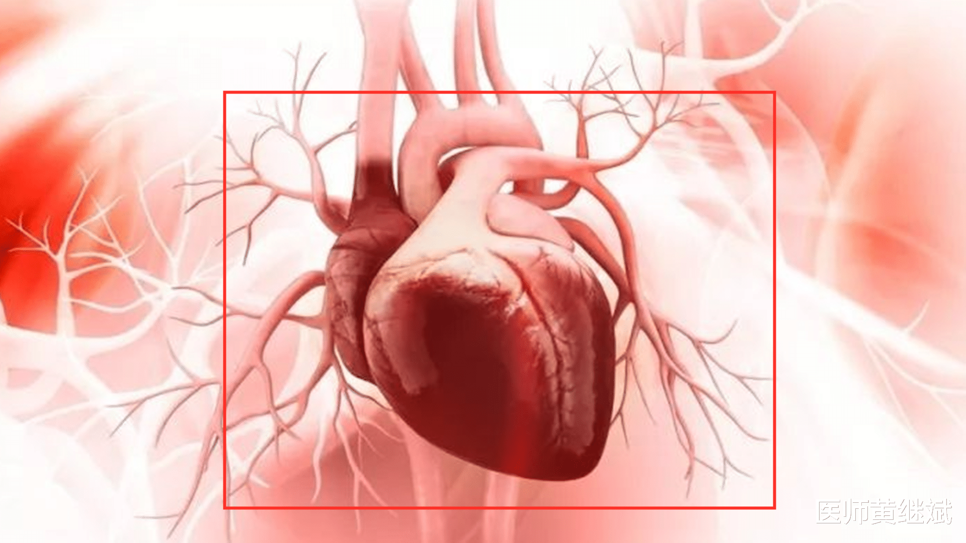 心脑血管疾病|心脑血管疾病，7条“保命”要诀，医生建议要收藏