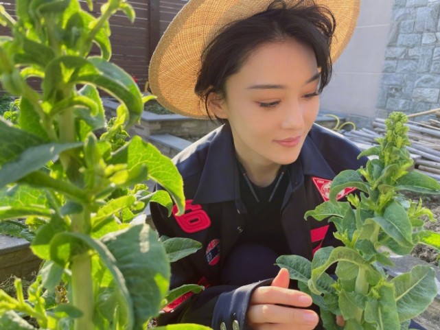 张馨予|张馨予与妈妈摘杨梅，养鱼逗狗生活惬意，被粉丝责怪事业心不强后发文回应