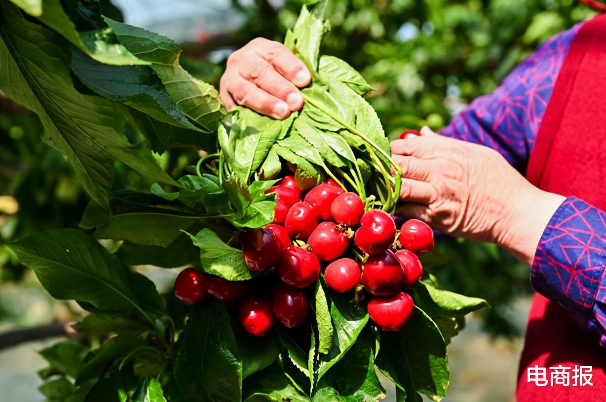 武汉|产业带工厂的春天来了，用户达2.4亿的淘特开辟新赛道