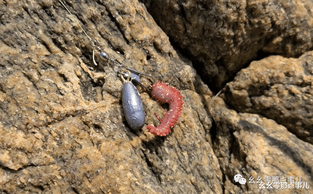 幺幺零那点事儿 捡海星、抓螃蟹、钓海鱼！北京到青岛的边玩边钓之旅不要太爽