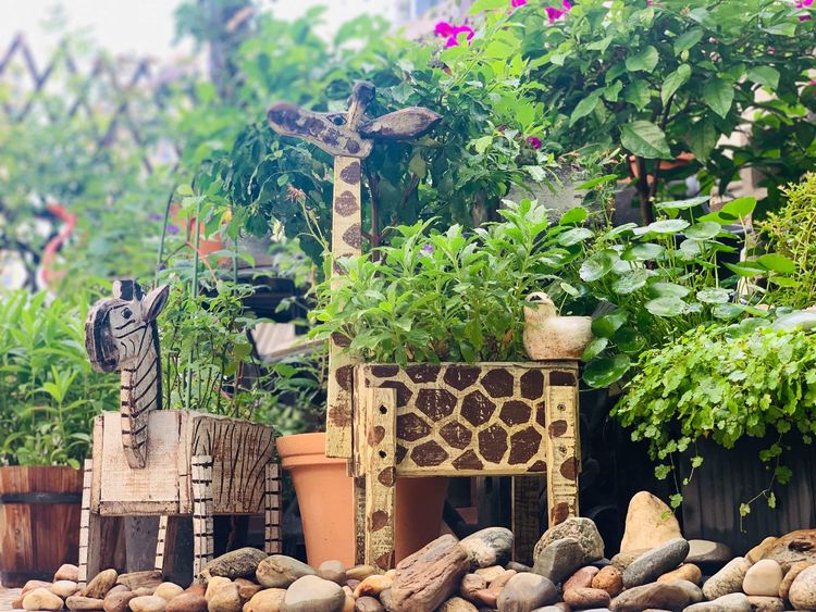 古镇 我的54㎡露台花园,一个可在花丛中漫步的地方,舒适宜人美不胜收