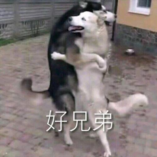 美剧|看欧美大片的神器被封，1.6亿网友都慌了