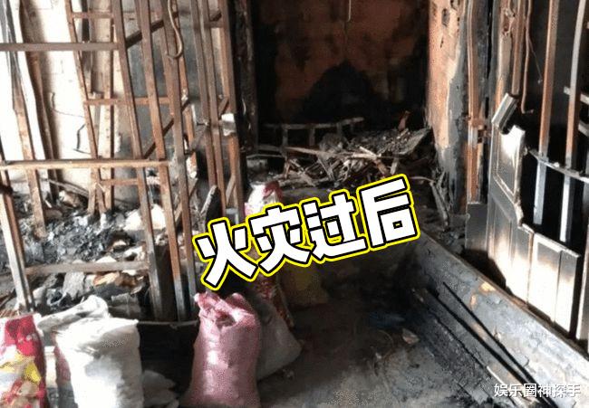 林生斌|如果林生斌当时这样做，口碑或许大不一样