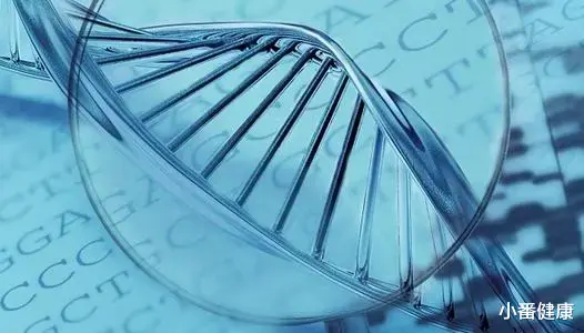 纳米 乙肝新型聚合酶抑制剂，开发数量正减少，新机制依然是探索阶段