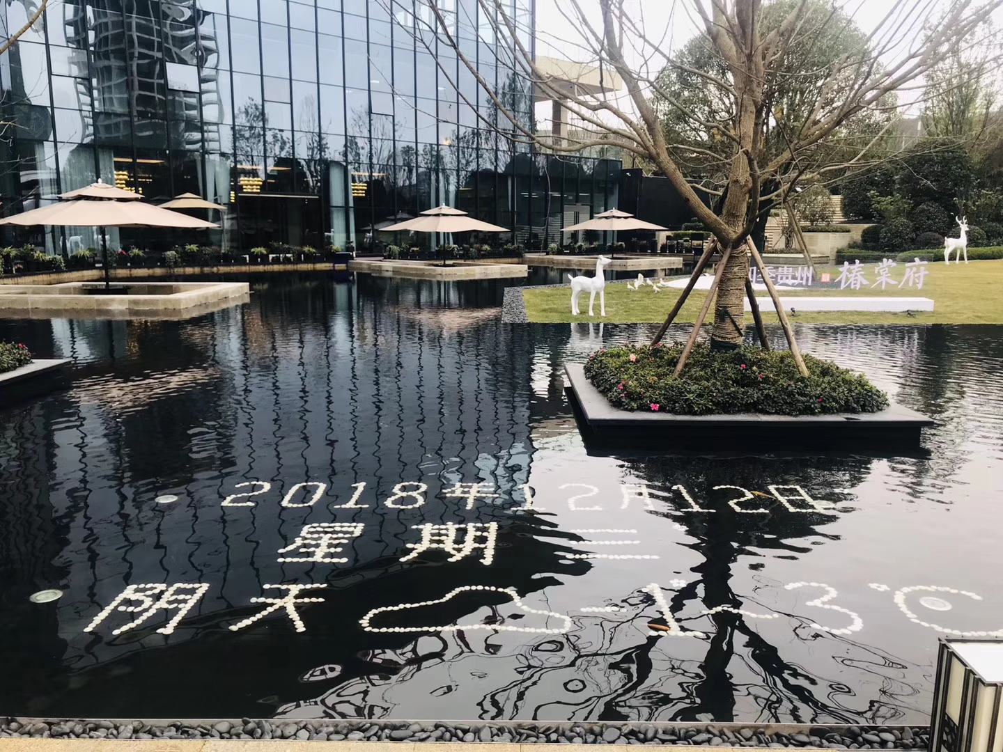 |流行的现代风格庭院，简约不简单