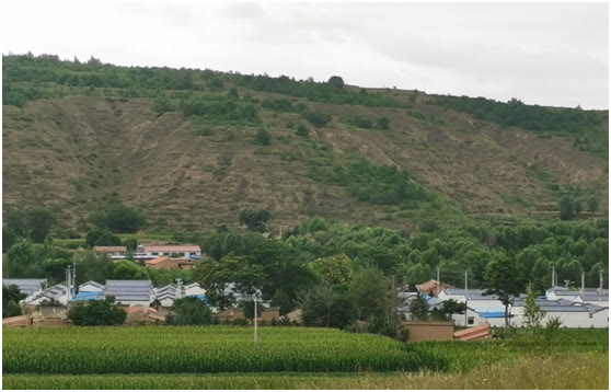 陪读时间|难忘悠江小学：我的小学早被拆除了，尽管它破旧穷酸，可怀念依旧